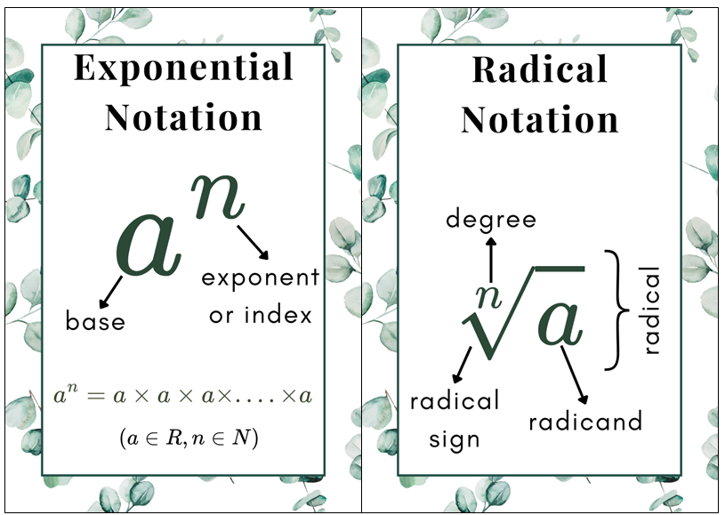 Posters - Exponents - Eucalyptus Theme