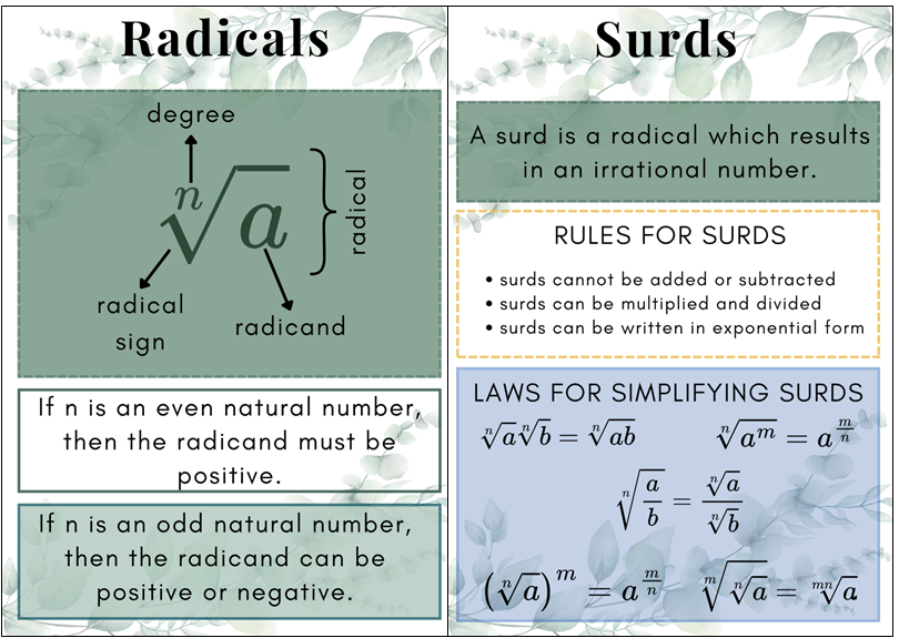 Posters - Exponents - Eucalyptus Theme